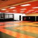Top MMA Schools in California: Find Your Gym | Ultimate Guide to MMA: Training, Techniques, and Top Fighters in The World