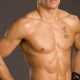 Ultimate GSP MMA Workout & Training Guide | Ultimate Guide to MMA: Training, Techniques, and Top Fighters in The World