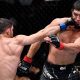 Muslim MMA Fighters: Exploring the Record Books | Ultimate Guide to MMA: Training, Techniques, and Top Fighters in The World