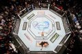 Top 5 Best MMA Sites for Fight Fans Ultimate Guide to MMA: Training, Techniques, and Top Fighters in The World Top 5 Best MMA Sites for Fight Fans | Ultimate Guide to MMA: Training, Techniques, and Top Fighters in The World