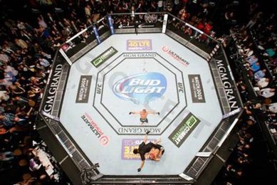 Top 5 Best MMA Sites for Fight Fans Ultimate Guide to MMA: Training, Techniques, and Top Fighters in The World Top 5 Best MMA Sites for Fight Fans | Ultimate Guide to MMA: Training, Techniques, and Top Fighters in The World