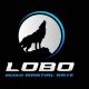 Discover Lobo MMA: Train Like a Pro | Ultimate Guide to MMA: Training, Techniques, and Top Fighters in The World
