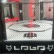 Dominate Inside La Jaula MMA: Cage Strategies | Ultimate Guide to MMA: Training, Techniques, and Top Fighters in The World