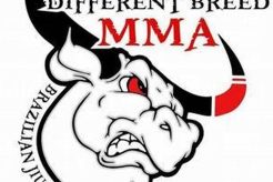 A Different Breed: The Future of MMA Ultimate Guide to MMA: Training, Techniques, and Top Fighters in The World A Different Breed: The Future of MMA | Ultimate Guide to MMA: Training, Techniques, and Top Fighters in The World