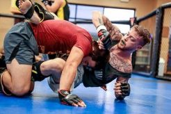 Rothwell Mma Ultimate Guide to MMA: Training, Techniques, and Top Fighters in The World Rothwell Mma | Ultimate Guide to MMA: Training, Techniques, and Top Fighters in The World