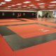Premium Custom MMA Mats: Design Your Own | Ultimate Guide to MMA: Training, Techniques, and Top Fighters in The World