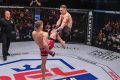 Top Pro MMA Fighters: Training & Lifestyle Ultimate Guide to MMA: Training, Techniques, and Top Fighters in The World Top Pro MMA Fighters: Training & Lifestyle | Ultimate Guide to MMA: Training, Techniques, and Top Fighters in The World