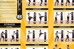 Mma Heavy Bag Workout Ultimate Guide to MMA: Training, Techniques, and Top Fighters in The World Mma Heavy Bag Workout | Ultimate Guide to MMA: Training, Techniques, and Top Fighters in The World