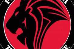 Train Like a Champion | Pride Lands MMA Academy | Join Now | Ultimate Guide to MMA: Training, Techniques, and Top Fighters in The World