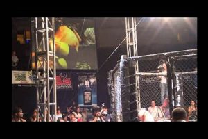 Best MMA Gyms & Training in Richmond, VA | Ultimate Guide to MMA: Training, Techniques, and Top Fighters in The World