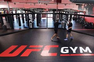 Top MMA Gyms in Vegas: Train Like a Pro Ultimate Guide to MMA: Training, Techniques, and Top Fighters in The World Top MMA Gyms in Vegas: Train Like a Pro | Ultimate Guide to MMA: Training, Techniques, and Top Fighters in The World