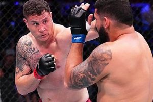 The Ultimate Guide to Diniz MMA Fighter Ultimate Guide to MMA: Training, Techniques, and Top Fighters in The World The Ultimate Guide to Diniz MMA Fighter | Ultimate Guide to MMA: Training, Techniques, and Top Fighters in The World