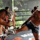 Best Tiger Muay Thai & MMA Training Camp | Ultimate Guide to MMA: Training, Techniques, and Top Fighters in The World