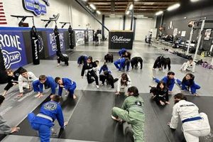 Best MMA Gyms & Training in Fresno CA Ultimate Guide to MMA: Training, Techniques, and Top Fighters in The World Best MMA Gyms & Training in Fresno CA | Ultimate Guide to MMA: Training, Techniques, and Top Fighters in The World