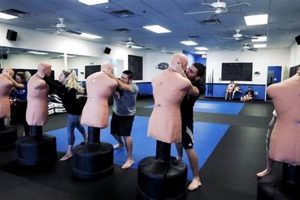 Best MMA Training in Mesa, AZ | Gyms & Classes Ultimate Guide to MMA: Training, Techniques, and Top Fighters in The World Best MMA Training in Mesa, AZ | Gyms & Classes | Ultimate Guide to MMA: Training, Techniques, and Top Fighters in The World
