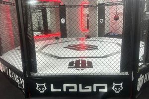 Jaulas Mma Ultimate Guide to MMA: Training, Techniques, and Top Fighters in The World Jaulas Mma | Ultimate Guide to MMA: Training, Techniques, and Top Fighters in The World