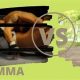 Mma Vs Tai Chi | Ultimate Guide to MMA: Training, Techniques, and Top Fighters in The World