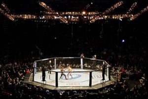 Cage Side Mma Ultimate Guide to MMA: Training, Techniques, and Top Fighters in The World Cage Side Mma | Ultimate Guide to MMA: Training, Techniques, and Top Fighters in The World