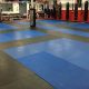 Best MMA Gyms & Training in Detroit, MI | Ultimate Guide to MMA: Training, Techniques, and Top Fighters in The World