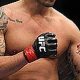 The Rise and Fall of Brendan Schaub in MMA | Ultimate Guide to MMA: Training, Techniques, and Top Fighters in The World