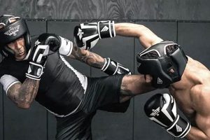 Ultimate Guide: How to MMA Train Effectively Ultimate Guide to MMA: Training, Techniques, and Top Fighters in The World Ultimate Guide: How to MMA Train Effectively | Ultimate Guide to MMA: Training, Techniques, and Top Fighters in The World