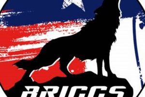 Train at Briggs Academy of MMA | Top Martial Arts | Ultimate Guide to MMA: Training, Techniques, and Top Fighters in The World