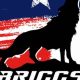 Train at Briggs Academy of MMA | Top Martial Arts | Ultimate Guide to MMA: Training, Techniques, and Top Fighters in The World