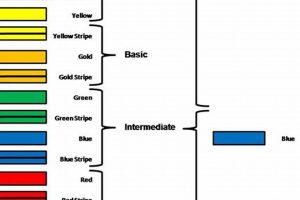 Understanding MMA Belt Colors & Rankings Ultimate Guide to MMA: Training, Techniques, and Top Fighters in The World Understanding MMA Belt Colors & Rankings | Ultimate Guide to MMA: Training, Techniques, and Top Fighters in The World