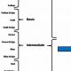 Understanding MMA Belt Colors & Rankings | Ultimate Guide to MMA: Training, Techniques, and Top Fighters in The World