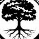 Train MMA at Good Tree MMA Wilkes Barre PA | Ultimate Guide to MMA: Training, Techniques, and Top Fighters in The World