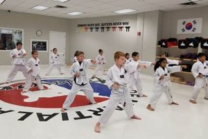 Best Martial Arts MMA Academy & Training Center | Ultimate Guide to MMA: Training, Techniques, and Top Fighters in The World
