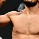 Khabib: Weight, Height, and Reach Breakdown | Ultimate Guide to MMA: Training, Techniques, and Top Fighters in The World