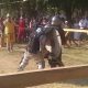 Medieval Mma Near Me | Ultimate Guide to MMA: Training, Techniques, and Top Fighters in The World