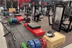 Top MMA Gyms in Austin: Find Your Fit Ultimate Guide to MMA: Training, Techniques, and Top Fighters in The World Top MMA Gyms in Austin: Find Your Fit | Ultimate Guide to MMA: Training, Techniques, and Top Fighters in The World