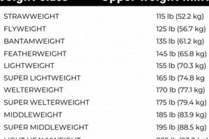 Understanding MMA Weight Classes: A Complete Guide Ultimate Guide to MMA: Training, Techniques, and Top Fighters in The World Understanding MMA Weight Classes: A Complete Guide | Ultimate Guide to MMA: Training, Techniques, and Top Fighters in The World