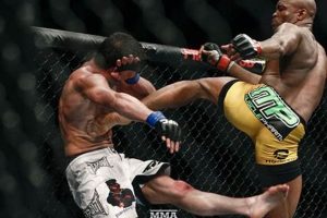 Mma Silva Vs Sonnen Ultimate Guide to MMA: Training, Techniques, and Top Fighters in The World Mma Silva Vs Sonnen | Ultimate Guide to MMA: Training, Techniques, and Top Fighters in The World