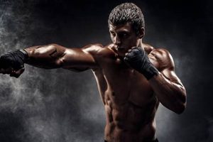 Ultimate MMA Fitness Workout Guide Ultimate Guide to MMA: Training, Techniques, and Top Fighters in The World Ultimate MMA Fitness Workout Guide | Ultimate Guide to MMA: Training, Techniques, and Top Fighters in The World