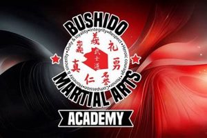 Train at Bushido MMA & BJJ Academy | Learn Martial Arts | Ultimate Guide to MMA: Training, Techniques, and Top Fighters in The World