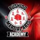 Train at Bushido MMA & BJJ Academy | Learn Martial Arts | Ultimate Guide to MMA: Training, Techniques, and Top Fighters in The World