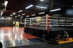 Best MMA Training Gyms in Toronto Ultimate Guide to MMA: Training, Techniques, and Top Fighters in The World Best MMA Training Gyms in Toronto | Ultimate Guide to MMA: Training, Techniques, and Top Fighters in The World