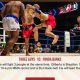 Watch Free Live MMA Streams Online Now! | Ultimate Guide to MMA: Training, Techniques, and Top Fighters in The World