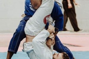 Best MMA Gyms & Training in Tampa, FL Ultimate Guide to MMA: Training, Techniques, and Top Fighters in The World Best MMA Gyms & Training in Tampa, FL | Ultimate Guide to MMA: Training, Techniques, and Top Fighters in The World