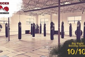 Top Kansas City MMA Gyms: Find Your Fit | Ultimate Guide to MMA: Training, Techniques, and Top Fighters in The World