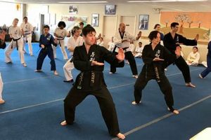 Best MMA Classes for Adults: Train Now Ultimate Guide to MMA: Training, Techniques, and Top Fighters in The World Best MMA Classes for Adults: Train Now | Ultimate Guide to MMA: Training, Techniques, and Top Fighters in The World