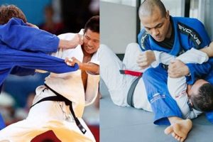 Learn Judo & MMA: Techniques and Training Ultimate Guide to MMA: Training, Techniques, and Top Fighters in The World Learn Judo & MMA: Techniques and Training | Ultimate Guide to MMA: Training, Techniques, and Top Fighters in The World