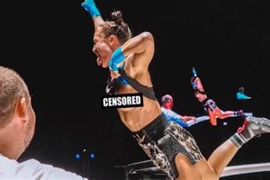 The Ultimate Guide to Flash MMA Fighting Ultimate Guide to MMA: Training, Techniques, and Top Fighters in The World The Ultimate Guide to Flash MMA Fighting | Ultimate Guide to MMA: Training, Techniques, and Top Fighters in The World
