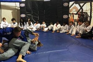 Best MMA Gyms & Training in Little Rock, AR Ultimate Guide to MMA: Training, Techniques, and Top Fighters in The World Best MMA Gyms & Training in Little Rock, AR | Ultimate Guide to MMA: Training, Techniques, and Top Fighters in The World