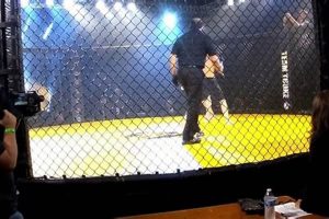 Ultimate MMA Fights Houston TX Live & Upcoming | Ultimate Guide to MMA: Training, Techniques, and Top Fighters in The World