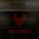 Top Phoenix MMA & Fitness Gyms | Train Now | Ultimate Guide to MMA: Training, Techniques, and Top Fighters in The World