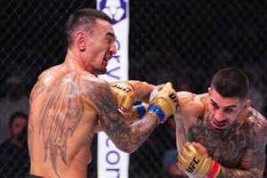 Top Ilia MMA Fighter: Stats, Fights & Bio Ultimate Guide to MMA: Training, Techniques, and Top Fighters in The World Top Ilia MMA Fighter: Stats, Fights & Bio | Ultimate Guide to MMA: Training, Techniques, and Top Fighters in The World